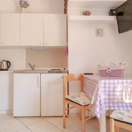 In Novigrad Mit Terrasse Apartman Novigrad Istria