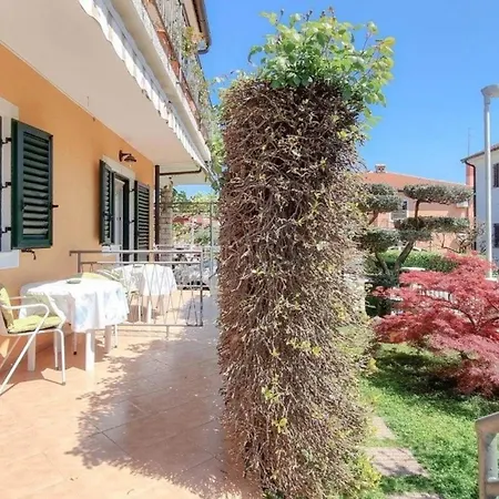 In Novigrad Mit Terrasse